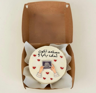 Pregnancy Reveal Bento Cake